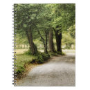 Search for path Landscape