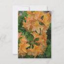Search for springtime flower Garden