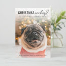 Search for funny dog cards Simple