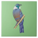 Search for bird tiles New zealand