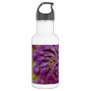 Search for gerbera drinkware Daisies