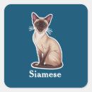 Search for siamese cat cartoon stickers Cats
