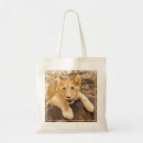 Search for tiger portrait bags Outdoors