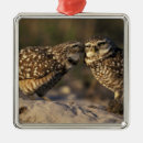 Search for owl decor christmas tree decorations Wildlife