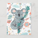 Search for koala bear postcards Australian animals