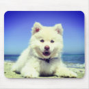 Search for fluffy white mousepads Puppies