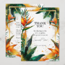 Search for bird paradise cards Birds of paradise