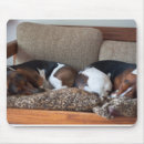 Search for hound puppy mousepads Pets