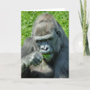 Search for primates cards Photography