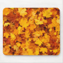 Search for landscapes mousepads Autumn