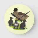 Search for calling birds posters Waterfowl