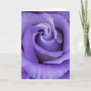 Search for abstract flower cards Photography