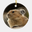 Search for mammals christmas tree decorations Endangered species