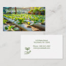 Search for hydroponic Horticulture