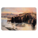 Search for herd magnets Bison