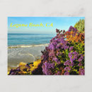 Search for laguna beach postcards Ocean