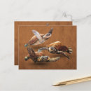 Search for extinction postcards Reptile