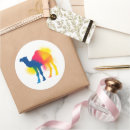 Search for camel stickers Colourful