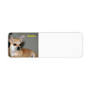 Search for dog breeder return address labels Animal