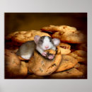 Search for cookie monster posters Cookies