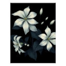 Search for jasmine flowers art White