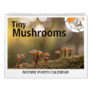 Search for mushroom calendars Photography