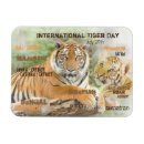 Search for cub kitchen dining Tiger