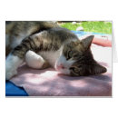 Search for big love cards I love you