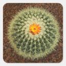 Search for ceramics stickers Flower