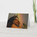 Search for stallions cards Portrait