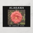 Search for red state postcards Flower