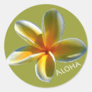 Search for plumeria stickers Aloha