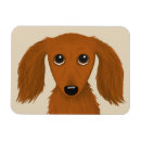 Search for cute magnets Dog