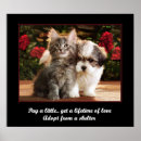 Search for pet adoption posters Animals