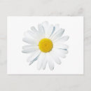 Search for single postcards Bloom