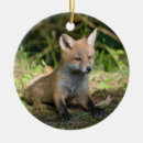 Search for red fox christmas tree decorations Mammal