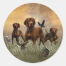 Search for vizsla stickers Hunting