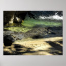 Search for crocodiles posters Reptiles