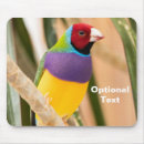 Search for finch mousepads Animal