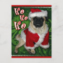 Search for pug lover cards Pugs