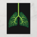 Search for lunge postcards Anatomy