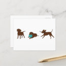 Search for black labrador retriever postcards Chocolate lab
