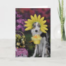 Search for dog mothers day cards Puppies