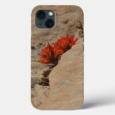 Search for paintbrush iphone cases Nature