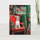 Search for jack russell christmas cards Jrt