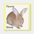 Search for giant square magnets Rabbit
