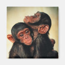 Search for primate magnets Jungle