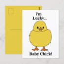 Search for easter chicks postcards Chicken