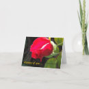 Search for ca cards Colourful