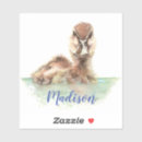 Search for large bird stickers Watercolor